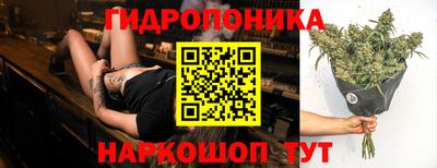 молекула духа Малгобек