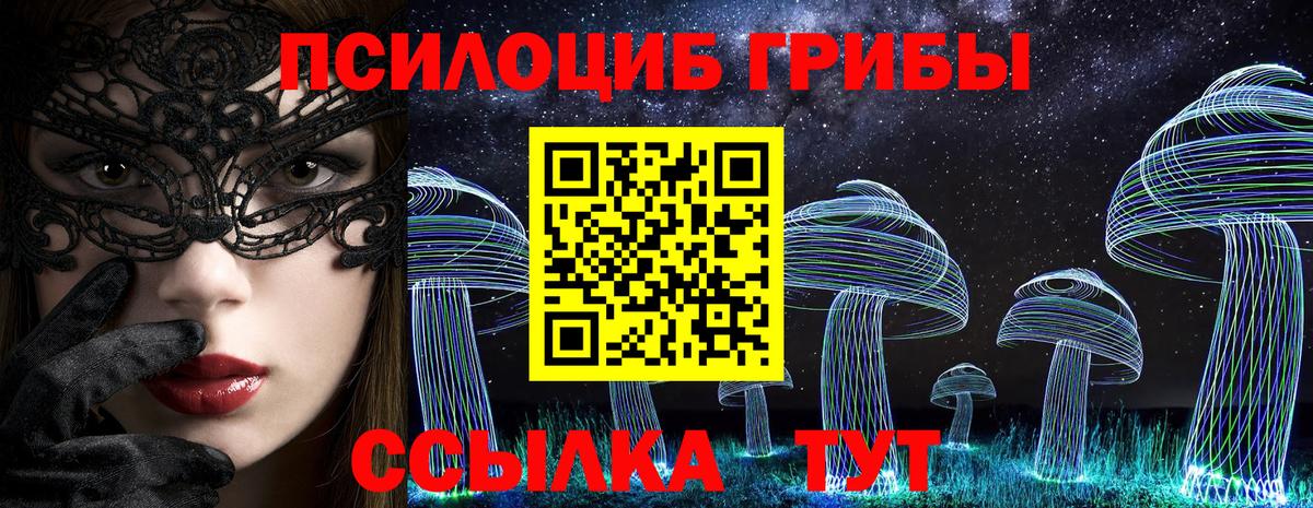 купить наркоту  Вход с VPN  Шадринск  Галлюциногенные грибы Psilocybe 